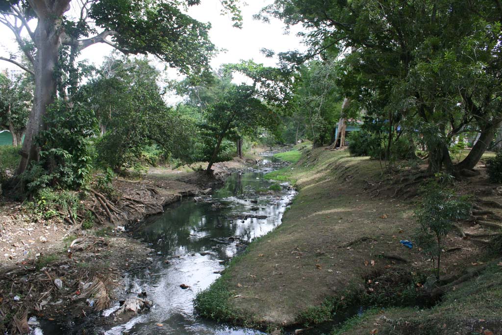 A rather squalid little stream running through the park.