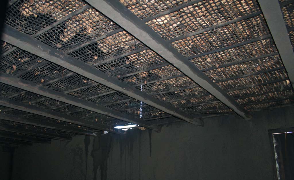 Inside the same: those are coconuts above the netting.