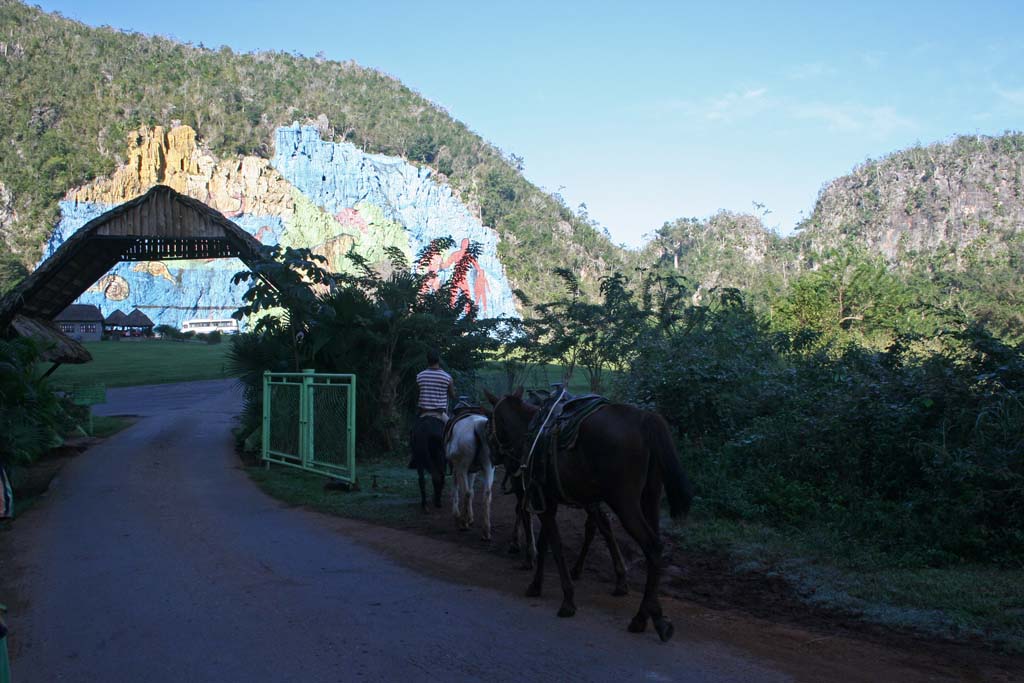 The entrance to the mural park.