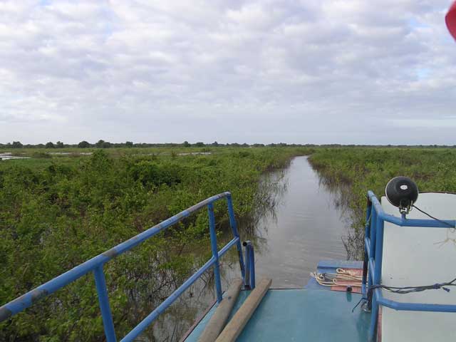Typical narrow waterway through the flooded forest