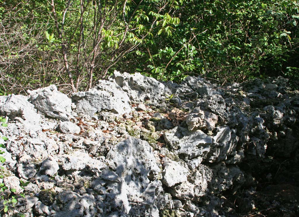 The remains of an ancient wall.