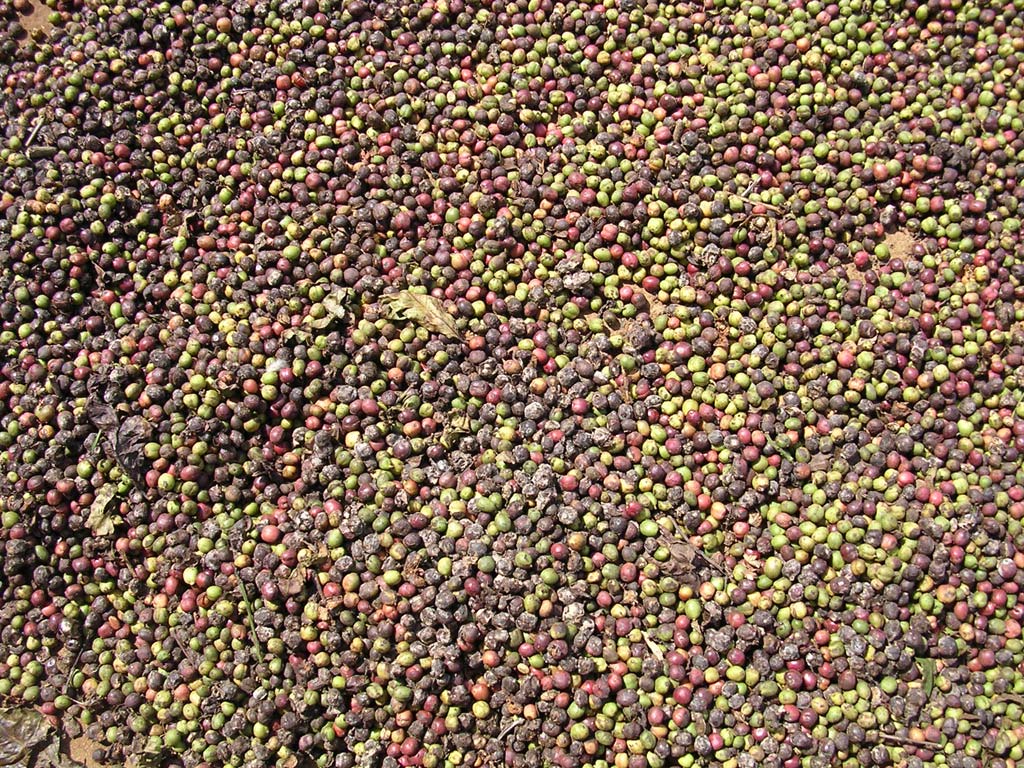 These are much newer - the green ones are poor quality; the red will fetch a better price