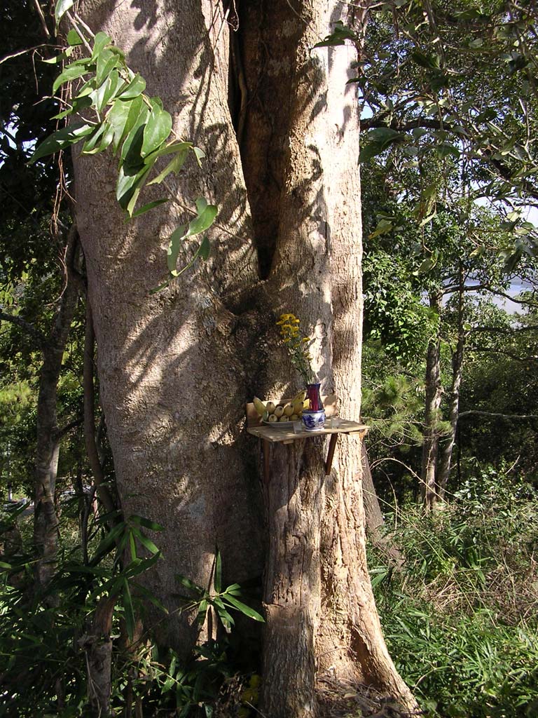 A tiny makeshift roadside shrine