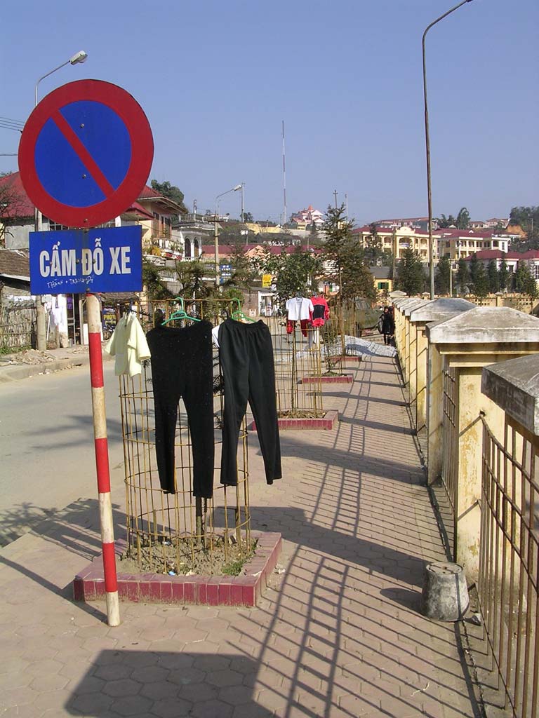 ...as indeed do the tree guards if you can't afford your own rack.