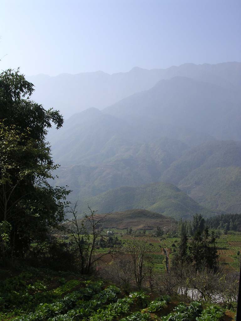 Sudden view from between two houses