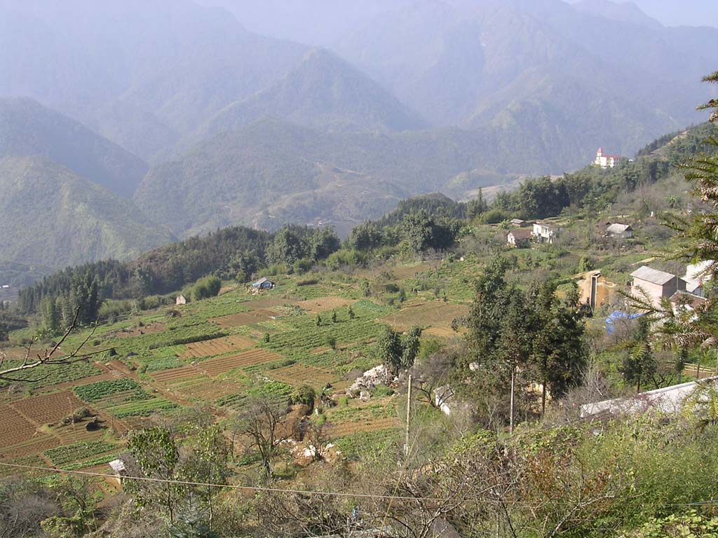 A market garden on the edge of town